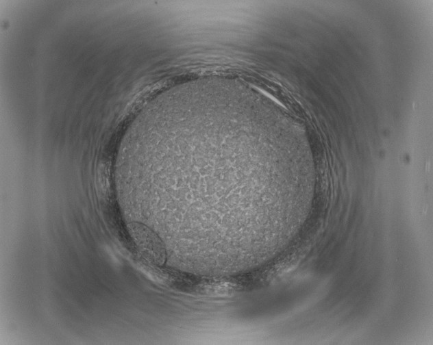 X0000078840695200611271322