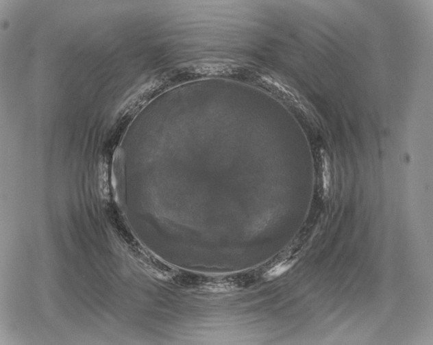 X0000078840696200611271322