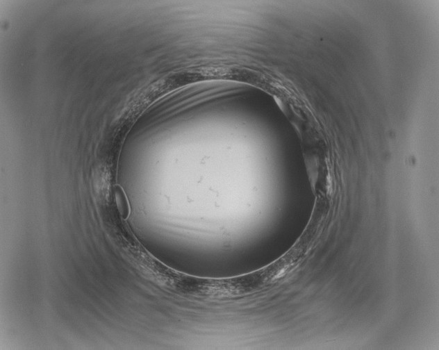 X0000078840697200611271322