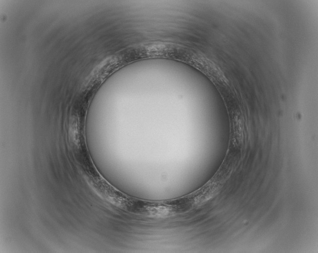 X0000078840698200611271322