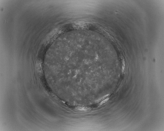 X0000078840699200611271322