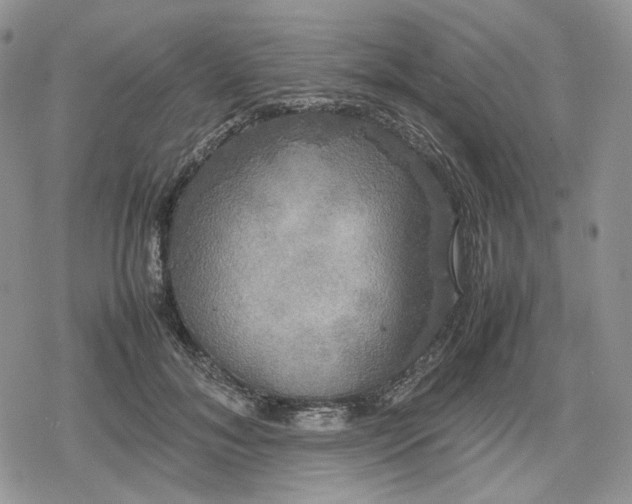 X0000078840700200611271322