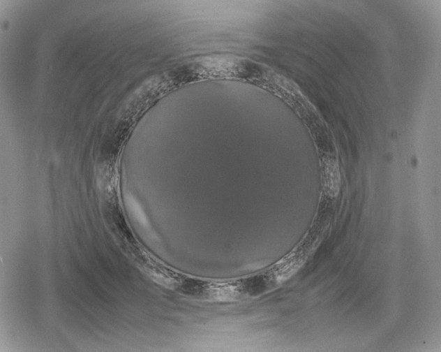 X0000078840701200611271322