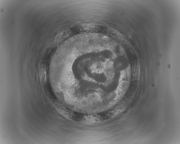 X0000078840703200611271322