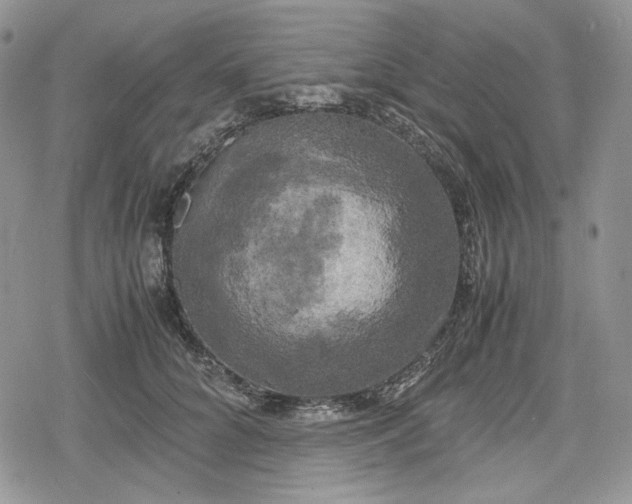 X0000078840704200611271322