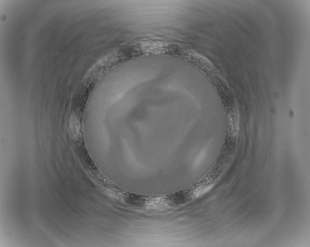 X0000078840705200611271322