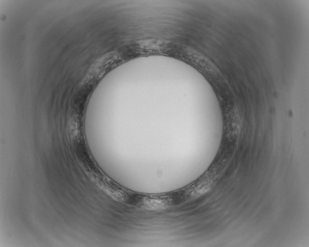 X0000078840706200611271322