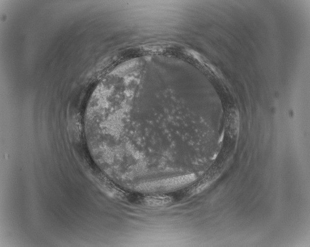 X0000078840707200611271322