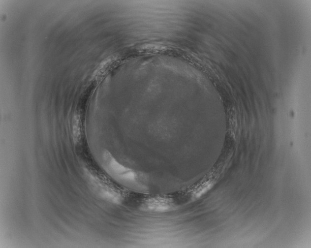 X0000078840708200611271322