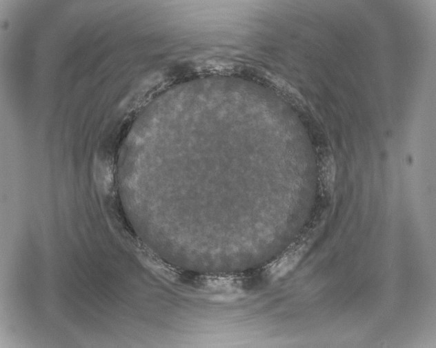 X0000078840709200611271322