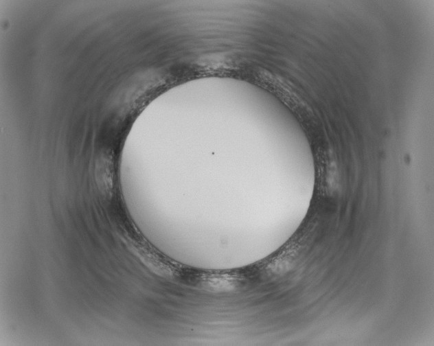 X0000078840710200611271322