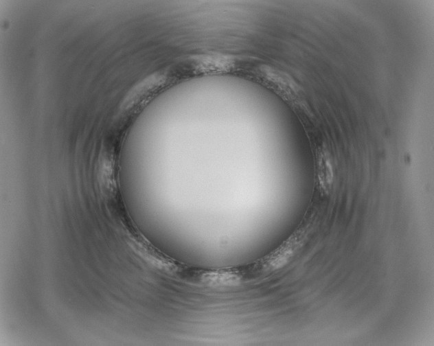 X0000078840714200611271322