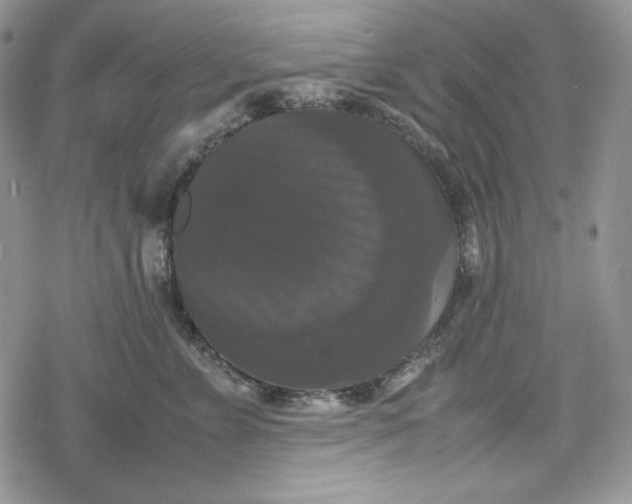 X0000078840715200611271322