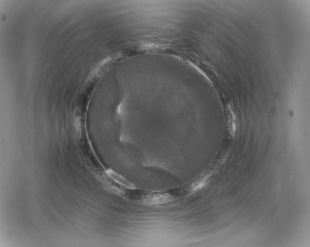 X0000078840716200611271322