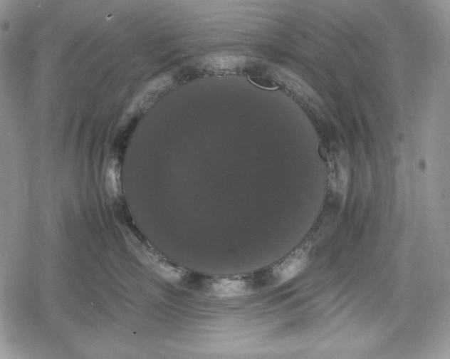 X0000078840718200611271322