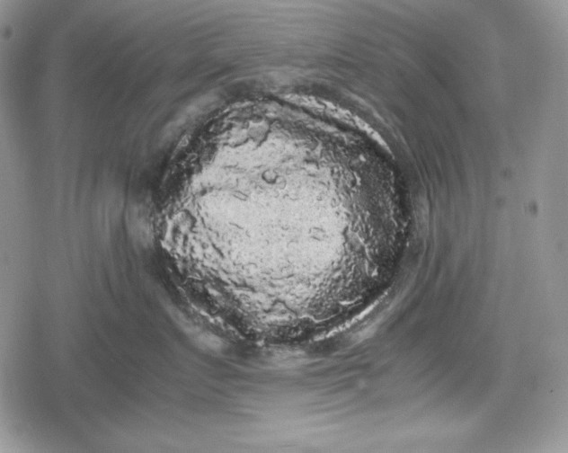 X0000078840719200611271322