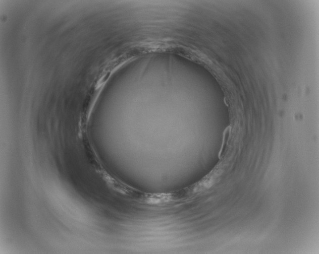 X0000078840720200611271322