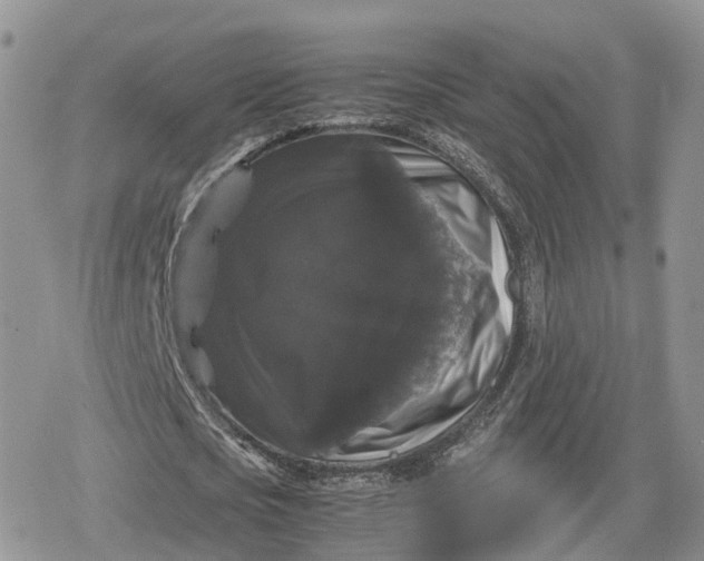 X0000078840721200611271321