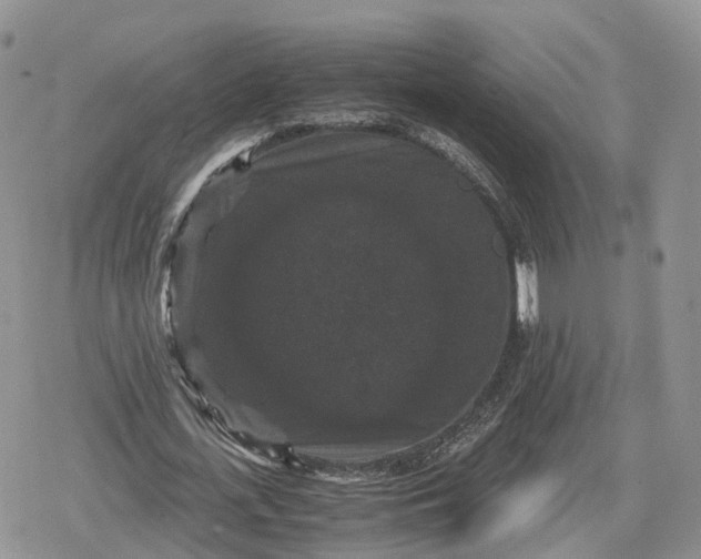 X0000078840723200611271321