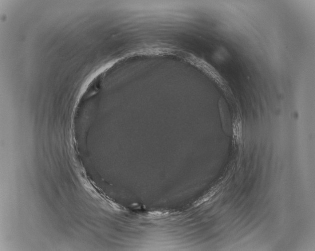 X0000078840724200611271321