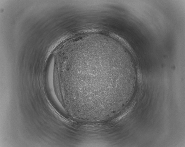 X0000078840725200611271321