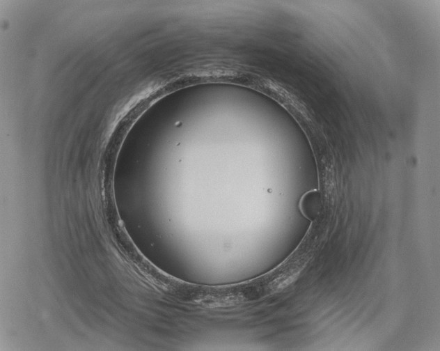 X0000078840727200611271321