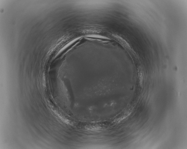 X0000078840729200611271321