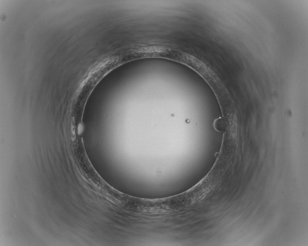 X0000078840731200611271321