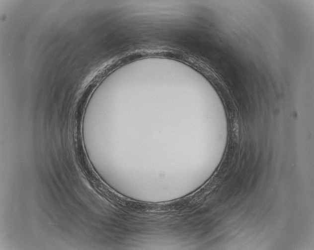 X0000078840732200611271321