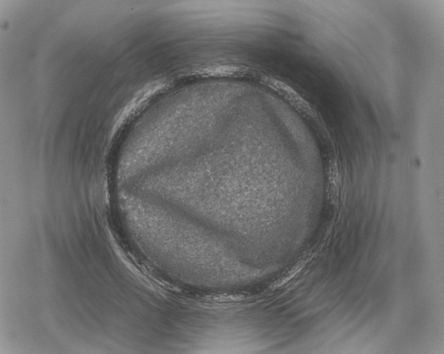 X0000078840734200611271321