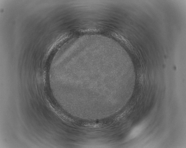 X0000078840735200611271321