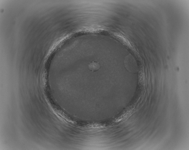 X0000078840736200611271321