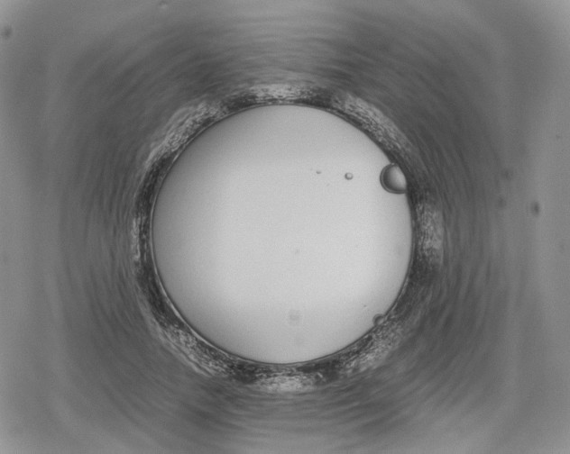 X0000078840738200611271321