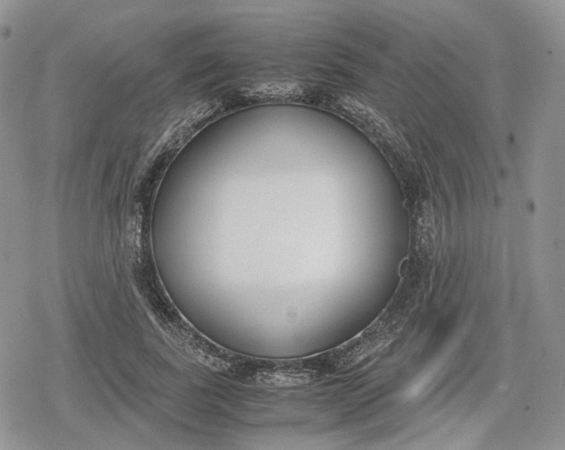 X0000078840739200611271321