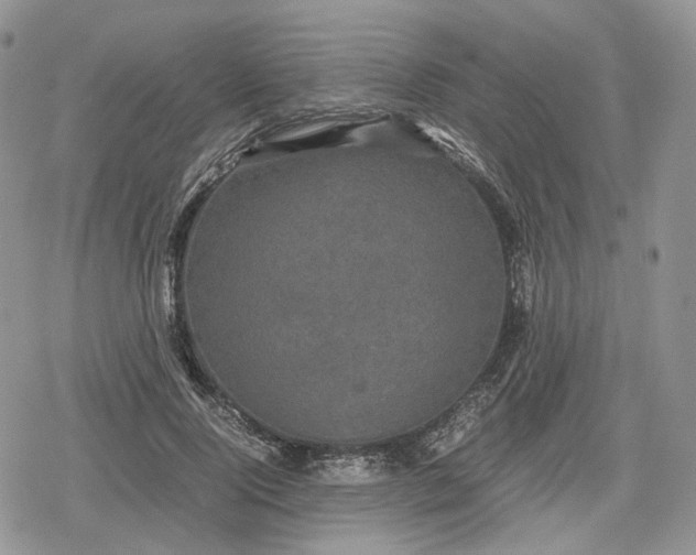 X0000078840740200611271321