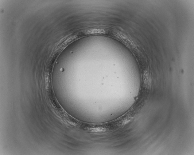 X0000078840741200611271321