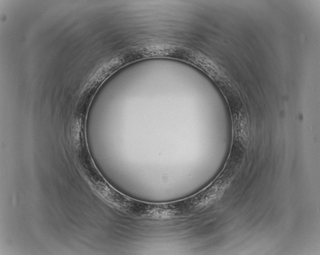 X0000078840742200611271321