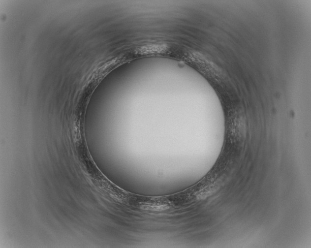 X0000078840743200611271321