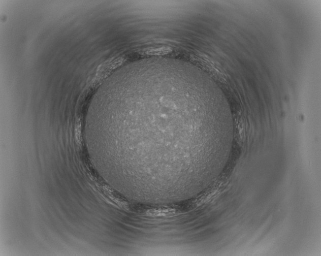 X0000078840745200611271321