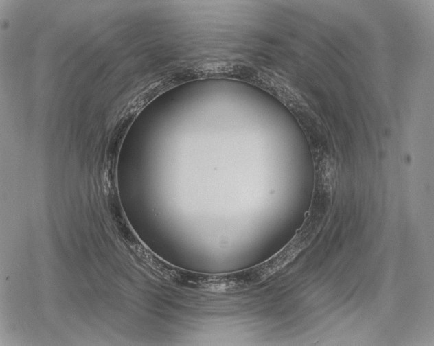 X0000078840746200611271321