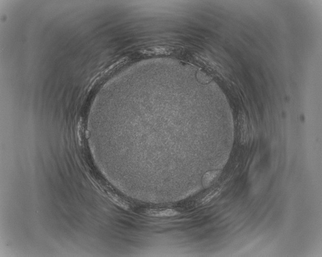 X0000078840747200611271321