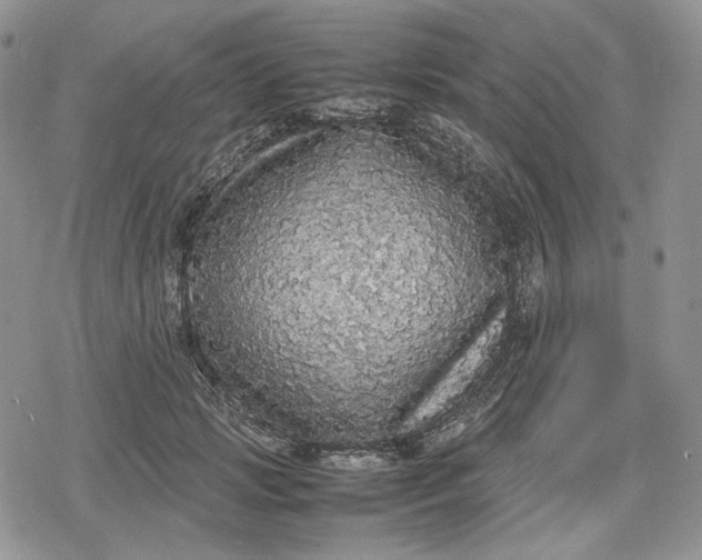 X0000078840749200611271321