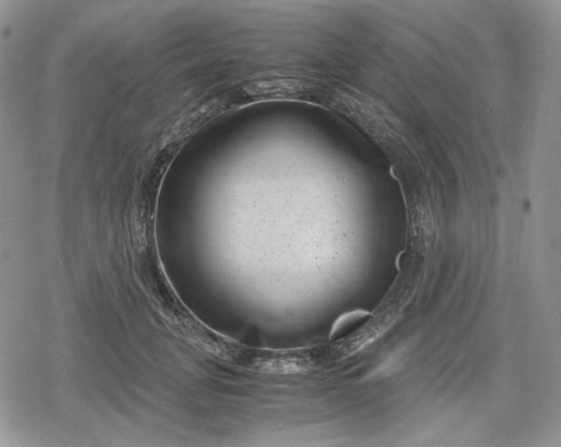 X0000078840751200611271321