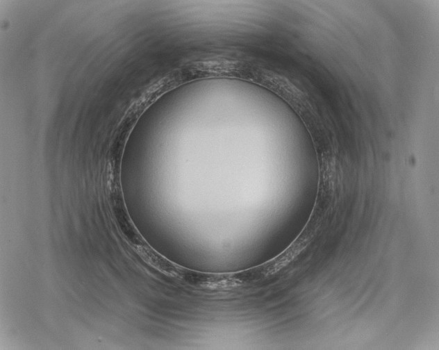 X0000078840752200611271321