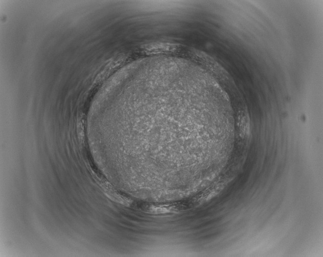 X0000078840753200611271322