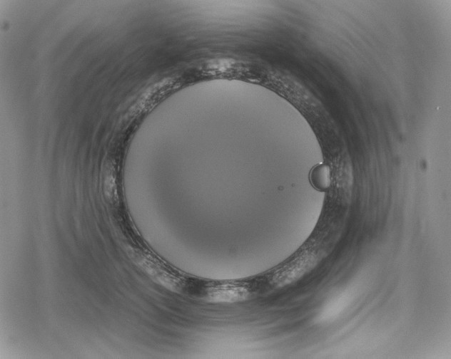 X0000078840754200611271322