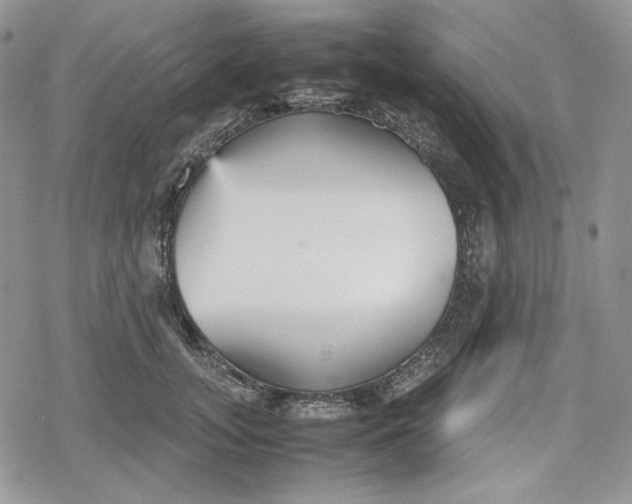 X0000078840755200611271322