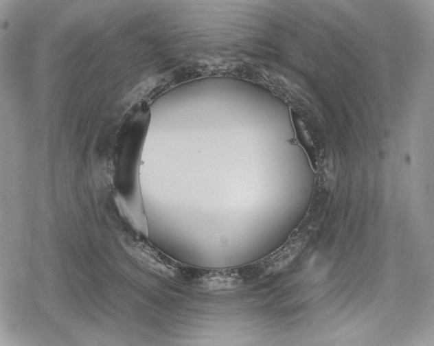 X0000078840756200611271322