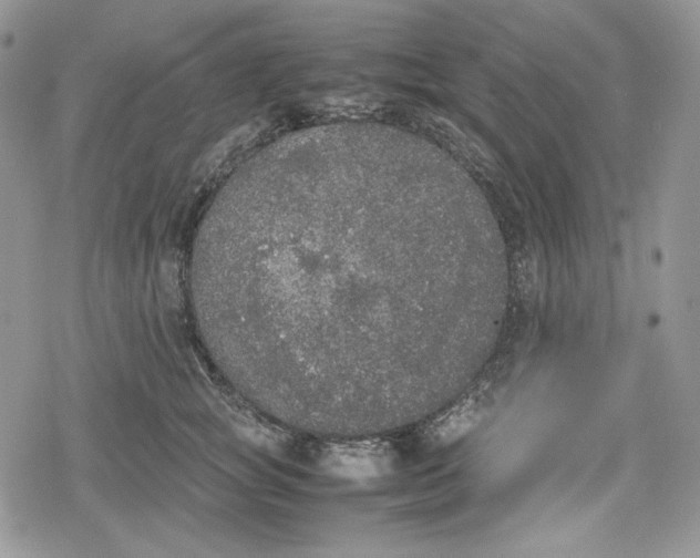 X0000078840757200611271322