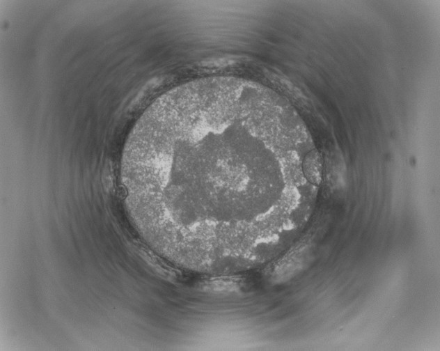 X0000078840758200611271322